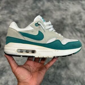 Nike Green and White Air Max Sneakers